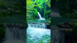 سورة مريم للشيخ عصام حمود تلاوة تقشعر البدن اكسبلور قرآن قران كريم رمضان 