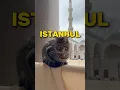 Download Lagu 15 things to do in Istanbul Turkey that you can’t miss! #istanbulturkey #istanbul