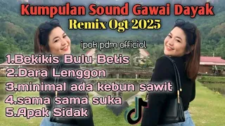 kumpulan dj dayak full band nonstop musik ganjur orgen tunggal