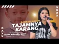TAJAMNYA KARANG KOPLO - Sansan Nazifa - Jagabaya Panawangan Ciamis - Mister Mediagraph