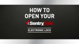 How to Open a Sentry Safe Electronic Lock Fire Safe