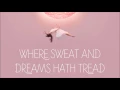 Dust Hymn (LYRICS) - Purity Ring