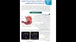 حل تعليمات النشاط2 ص11 12علوم طبيعية 4متوسط الجيل2 تحولات الخبز في المعدة والمعي الدقيق بالعصارات 
