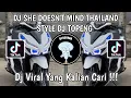 Download Lagu DJ SHE DOESN'T MIND THAILAND STYLE DJ TOPENG VIRAL TIK TOK TERBARU YANG KALIAN CARI!