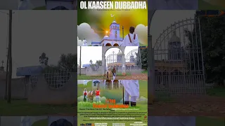 New Orthodox Mazmur Afaan Oromoo Haaraa F Taa Firaa Ol Tashoomaa 