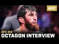 Download Lagu Magomed Ankalaev Octagon Interview | UFC 313