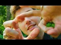 Ruel - I Can Die Now (Official Music Video - Behind the Scenes)