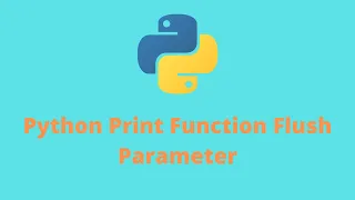 Python Print Function Flush parameter