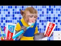 Download Lagu Chu Chu baby monkey eats rainbow ice cream with puppies and swims with ducklings in the garden