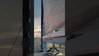 Smooth Sailing In Sulawesi Before It Hits The Fan