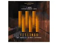 Download Lagu 03 C Moody Mogomotsi Chosen Feelings Hypaphonik Derived Dub