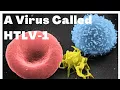 Download Lagu HUMAN T-LYMPHOTROPIC VIRUS | HTLV1 | ADULT T-CELL LEUKEMIA / LYMPHOMA | Adwoa Biotech