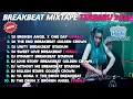 Download Lagu BREAKBEAT GOLDEN CROWN 2024 MIXTAPE BIKIN SATU ROOM HAPPY, BASSNYA BIKIN BERGETAR!! BY GANDY KOPITOY