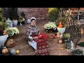 Download Lagu COLAJ Melodii NOI  Luciana Vaduva