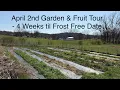 April 2nd Garden Fruit Tour - 4 Weeks til Frost Free Date