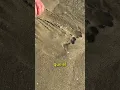 Channel