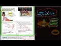 Envision 1-1 Lesson