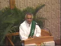 Tenth Sunday in Ordinary Time 18 - Deacon Michael