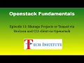 Openstack Manage projects or Tenant via Horizon and CLI client Redhat Openstack Platform 16