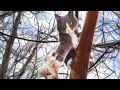 i am sworn to carry your burdens bro