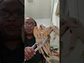 99 ranch market haul and cooking Big Dungeness crabs let s get into it