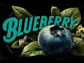 Download Lagu ELAI - BlueBerry (Official) VERA PROJECT