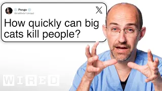 Veterinarian Answers Wild Animal Questions From Twitter Tech Support WIRED