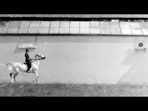 CHEVAL BAI, MONTE, TROT (1899) Silent film [Étienne-Jules Marey]