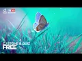 CJ Stone & Quiz - Free