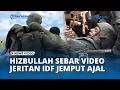 Download Lagu Hizbullah Sebar Video Jeritan SAKARATUL MAUT IDF, Meronta saat Ditandu hingga MERINGIS Kesakitan