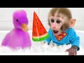 Download Lagu Mono Bon Bon y el Sueño del Tiburón - Animal HT ESP