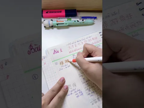 Mình đã chinh phục HSK1 thành công full 300/300 #honganhhoctiengtrung #buihonganhofficial