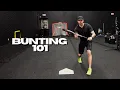 How To Bunt - Beginners Guide To Bunting