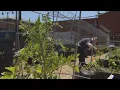 Hope s Garden helping detainees at DuPage County Jail and giving them hope