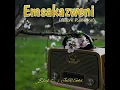 Emsakazweni (Gqom Remake)