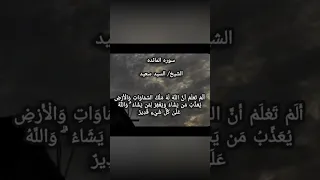 من افضل الشيوخ الشيخ السيد سعيد سوره المائده تلاوات نادره 
