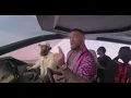 Conor McGregor Takes Lamborghini Yacht For A Spin Moments After Picking Up His 4m Toy