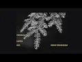 Jaguar Sun x Jesse Maranger - Autumn Fire (Official Music Video)