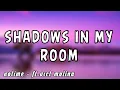 Download Lagu Shadows in my room - notime_(ft.vict molina)