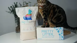 PrettyLitter Cat Litter Review - Say Goodbye to Mess and Odor