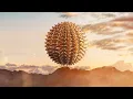 Guide You Home - Diviners