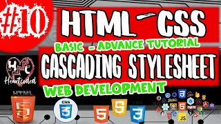 HTML WHAT IS CSS BASIC - ADVANCE HTML CSS JAVASCRIPT LESSON 10