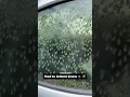 Bijen hebben mijn auto overgenomen 💔