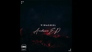 vida soul torque muziq psalm original mix 