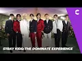 Lagu STRAY KIDS: THE DOMINANTE EXPERIENCE | TRÁILER