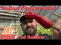 Italian Pepperoncini Pepper Capsicum annuum Pod Review 2018