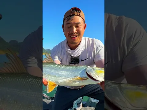 Traveled to Vietnam for THIS... Worth It?! 🎣🔥 #fishing