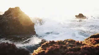 بشراكم اهل التقى والصلاح عبد الله المهداوي اناشيد اسلاميه Abdullah Mahdawi 