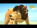 Download Lagu The Great Illusion | Leon the Lion | 75' Compilation | Crazy animals