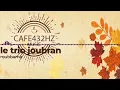 Roubbama-LE TRİO JOUBRAN